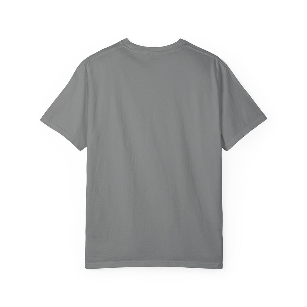 Professional Dad. Amateur Comedian. T-Shirt