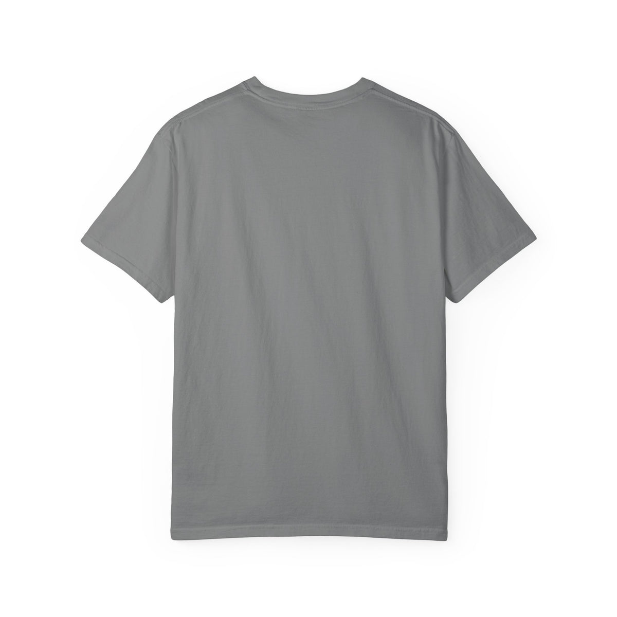 Professional Dad. Amateur Comedian. T-Shirt