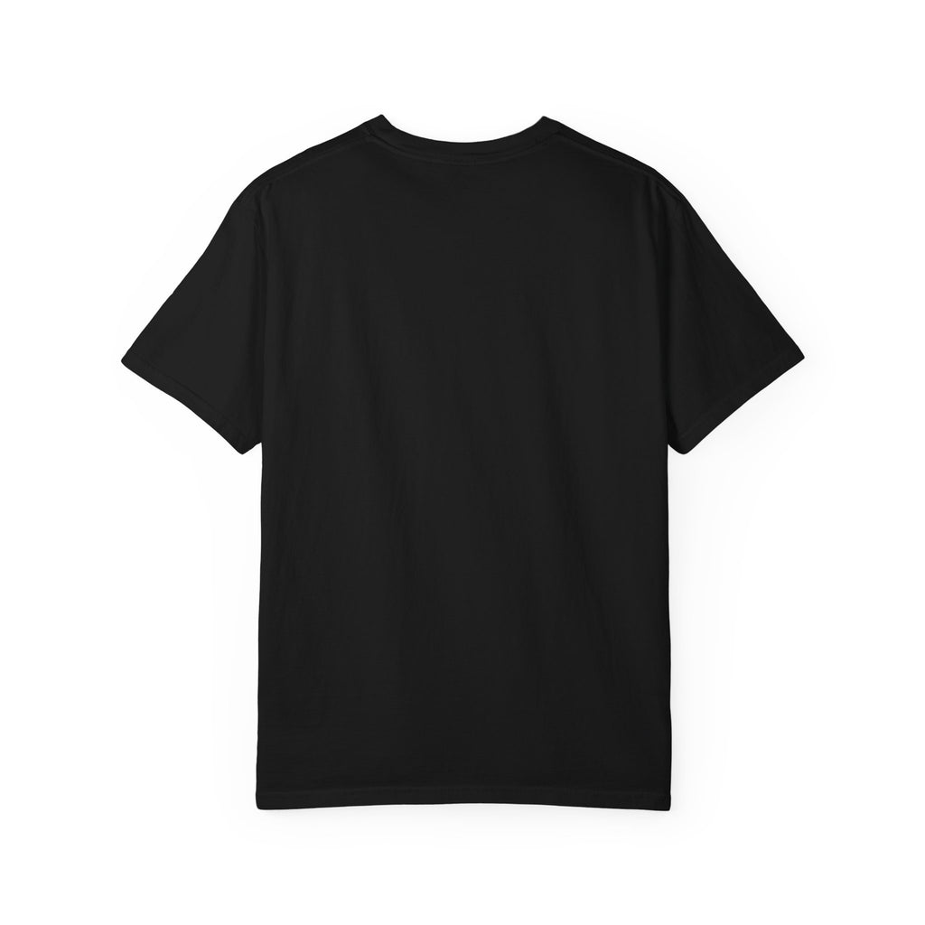 Professional Dad. Amateur Comedian. T-Shirt