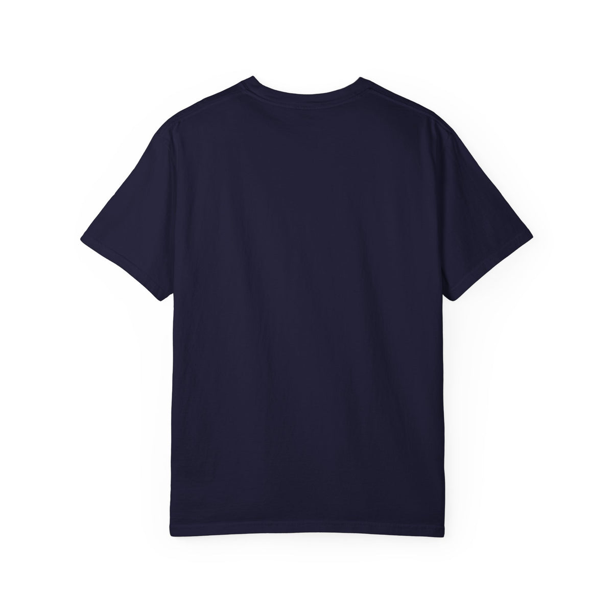 Professional Dad. Amateur Comedian. T-Shirt