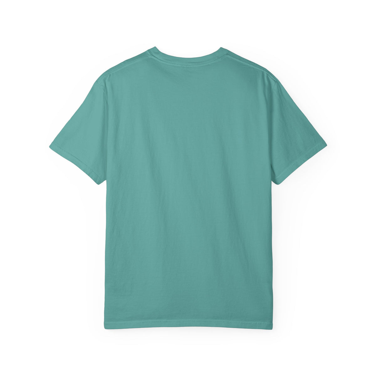 Professional Dad. Amateur Comedian. T-Shirt