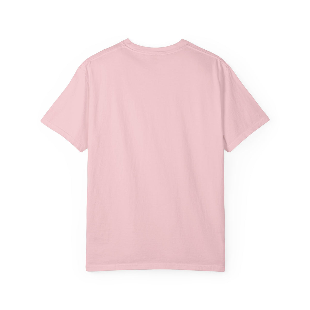 Professional Dad. Amateur Comedian. T-Shirt