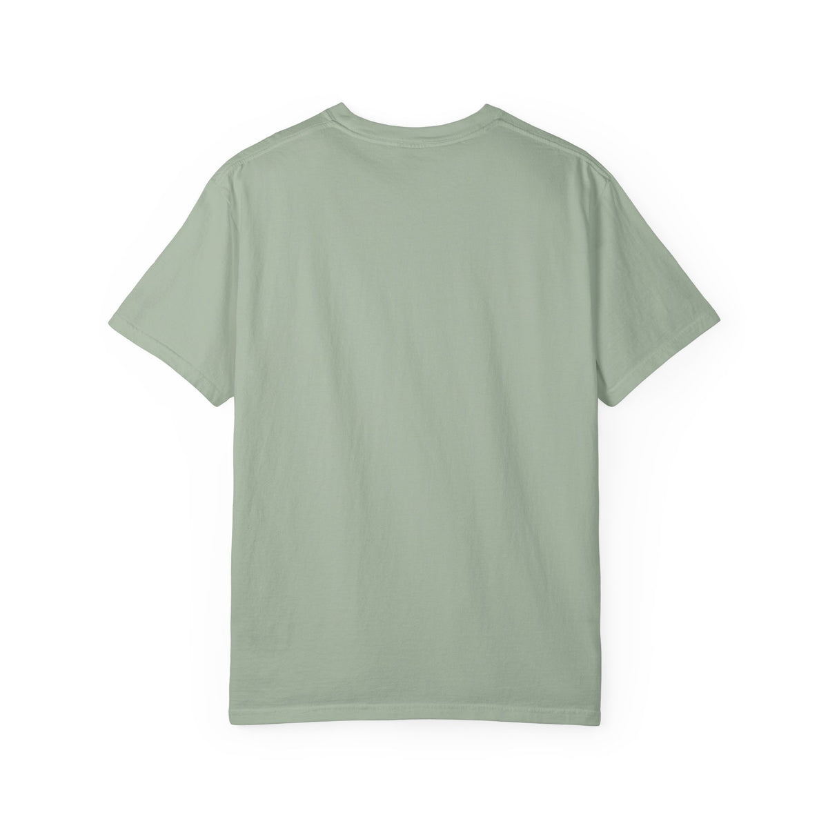 Professional Dad. Amateur Comedian. T-Shirt