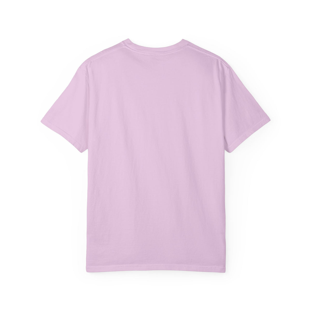 Professional Dad. Amateur Comedian. T-Shirt