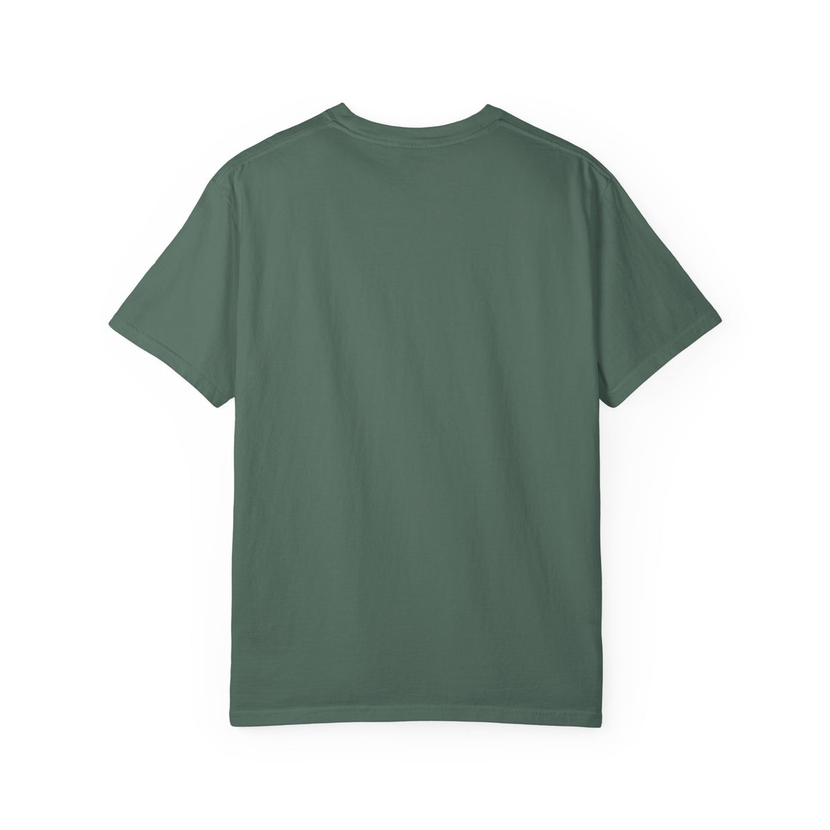 Professional Dad. Amateur Comedian. T-Shirt