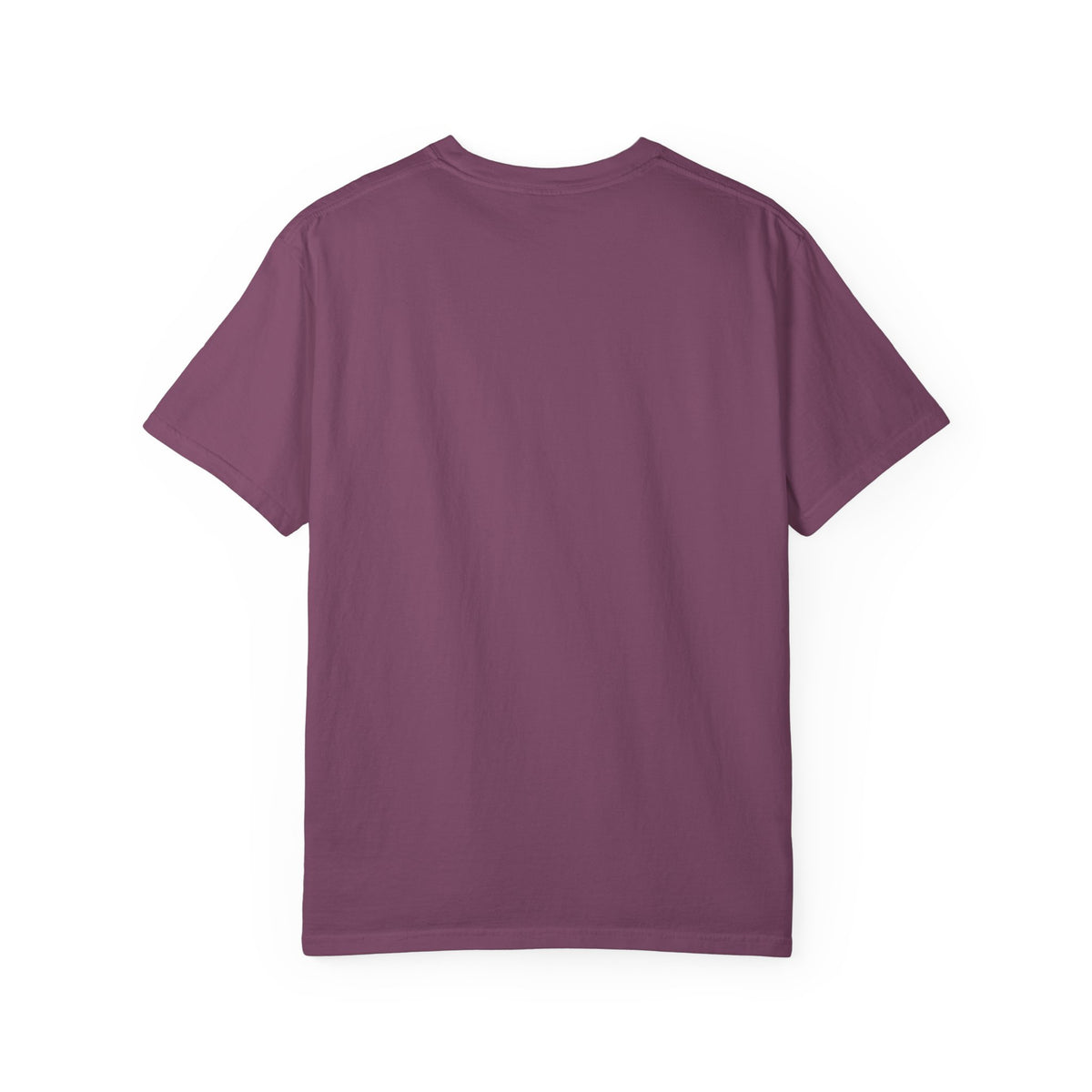 Professional Dad. Amateur Comedian. T-Shirt