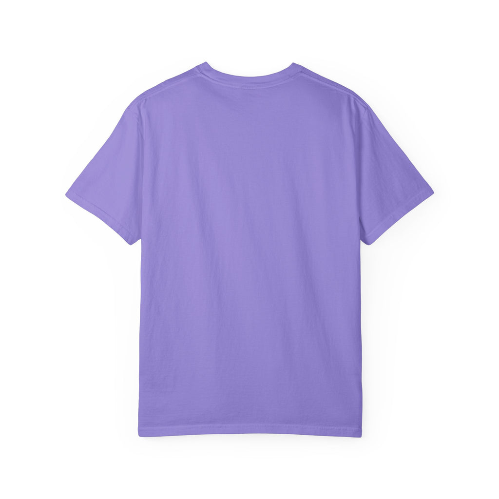 Professional Dad. Amateur Comedian. T-Shirt