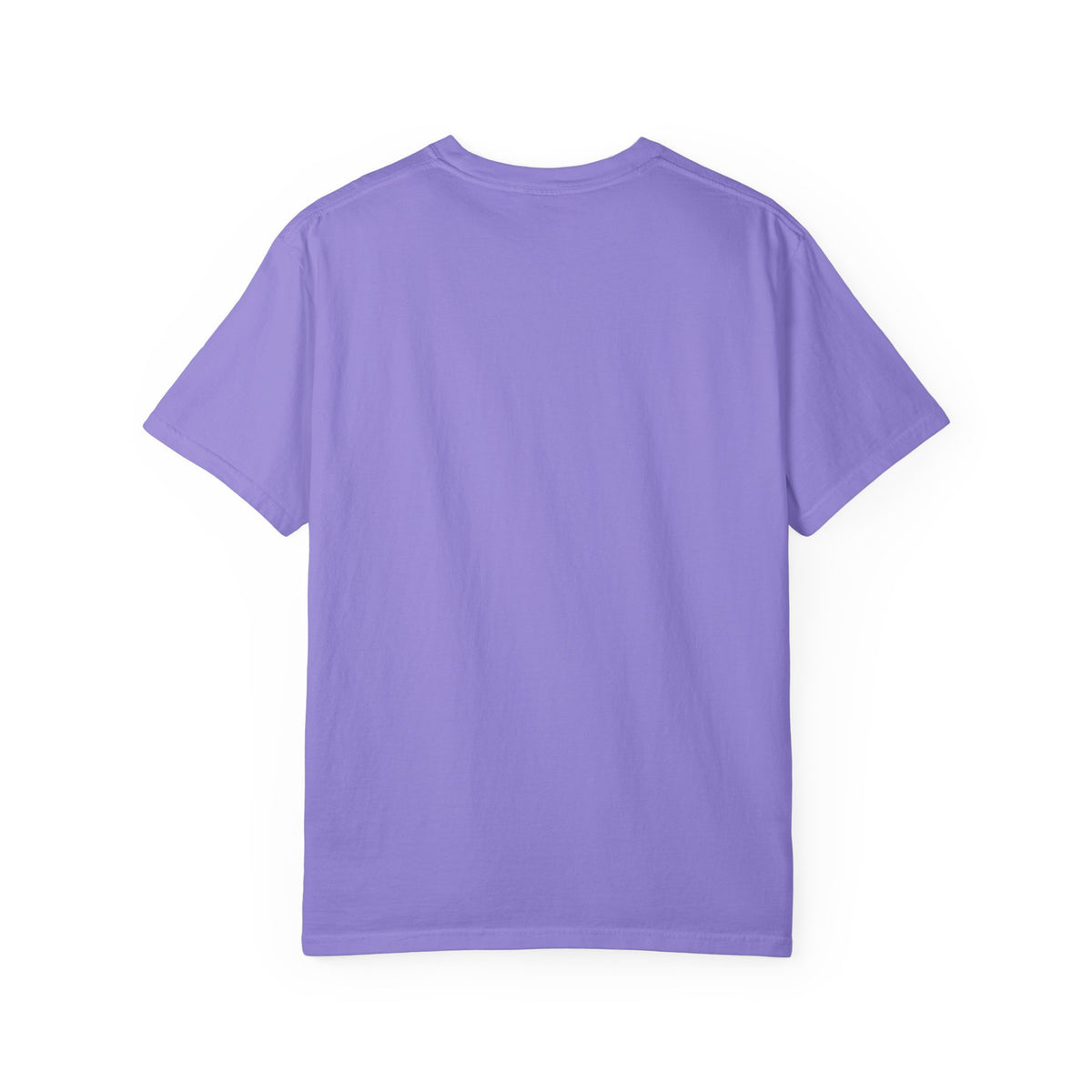 Professional Dad. Amateur Comedian. T-Shirt