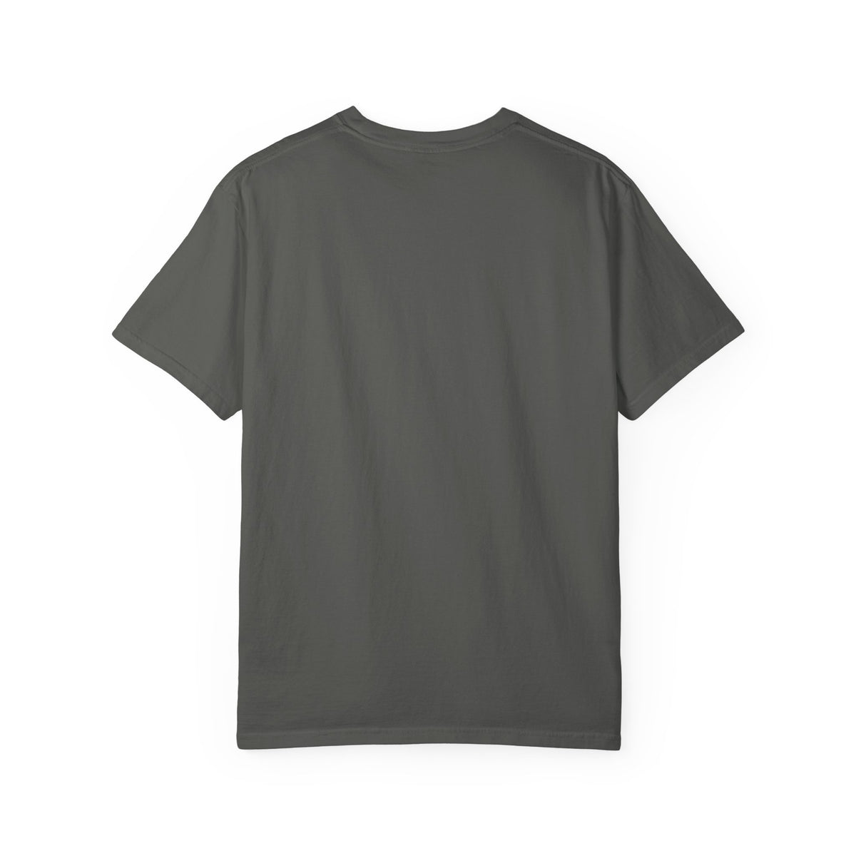 Professional Dad. Amateur Comedian. T-Shirt
