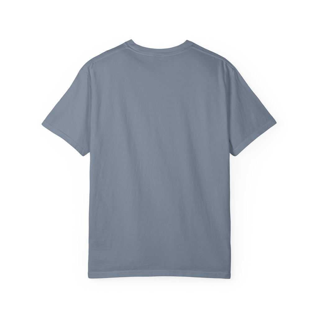 Professional Dad. Amateur Comedian. T-Shirt