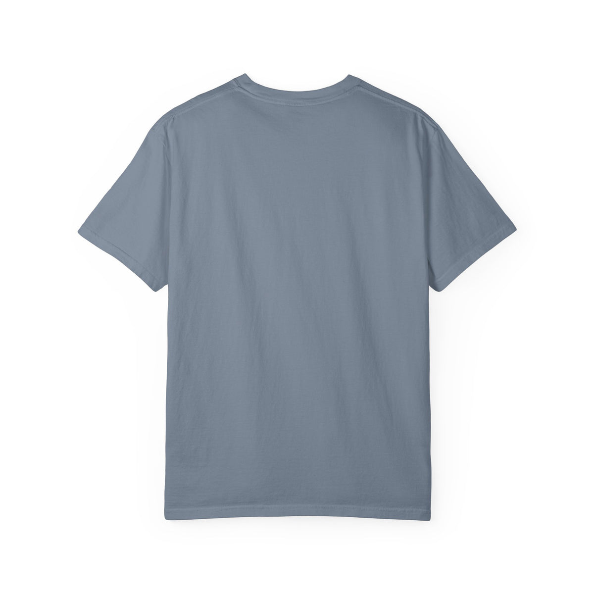 Professional Dad. Amateur Comedian. T-Shirt